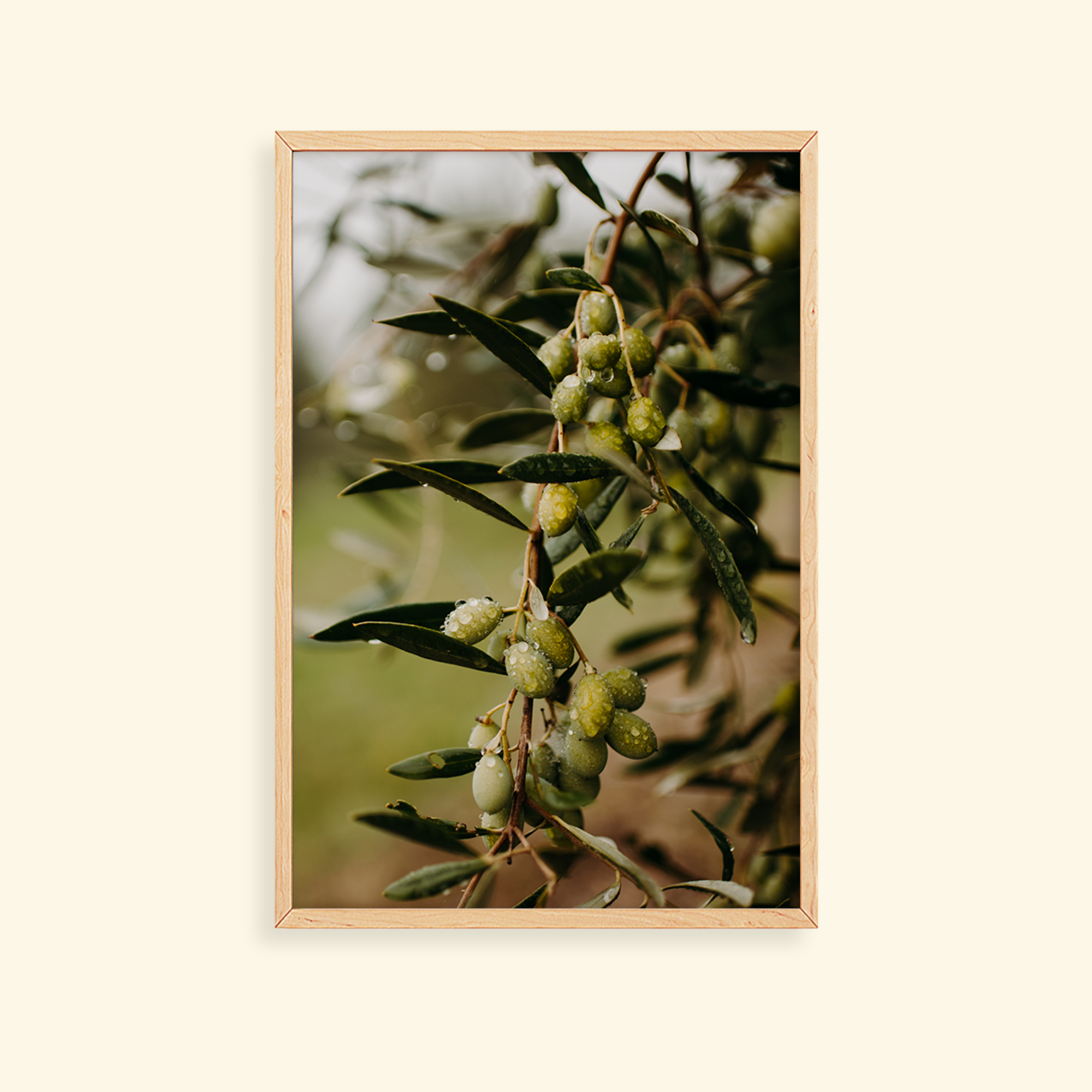 0b355760-c991-4eef-a51d-68eeef100d2b