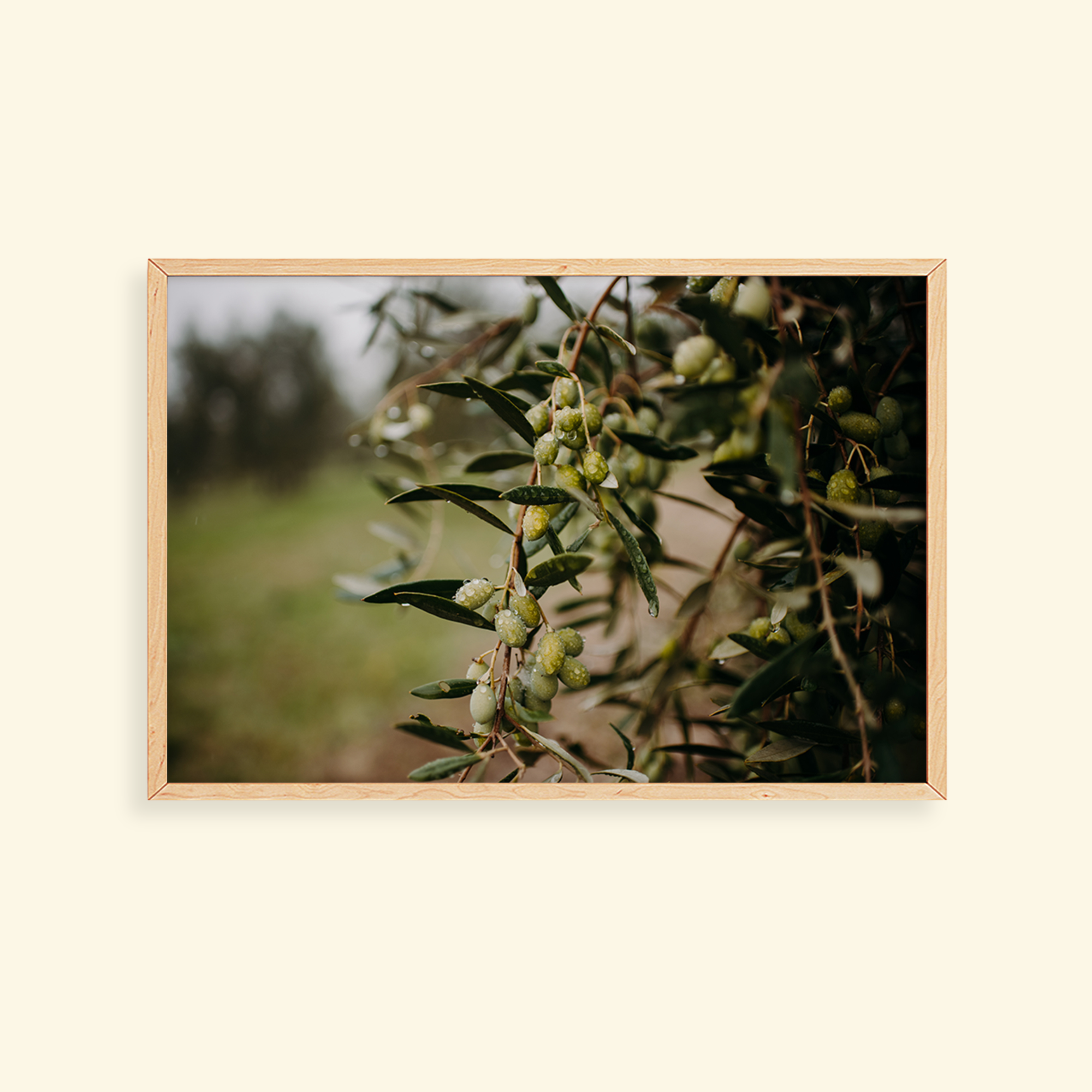 54b408d8-ef10-46fe-bb3e-700d755130b6