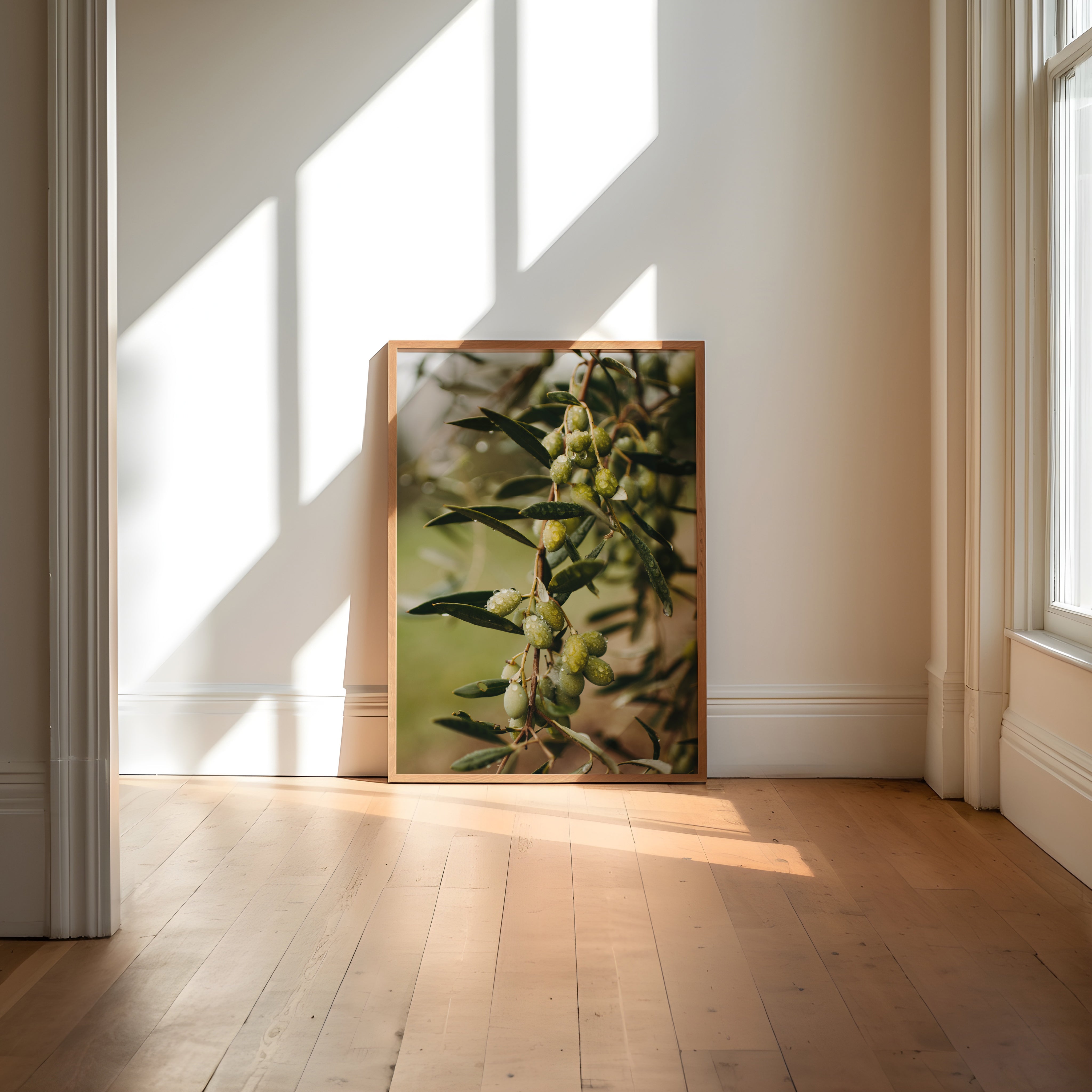 509db253-7e81-49db-a25a-a886b5733b30