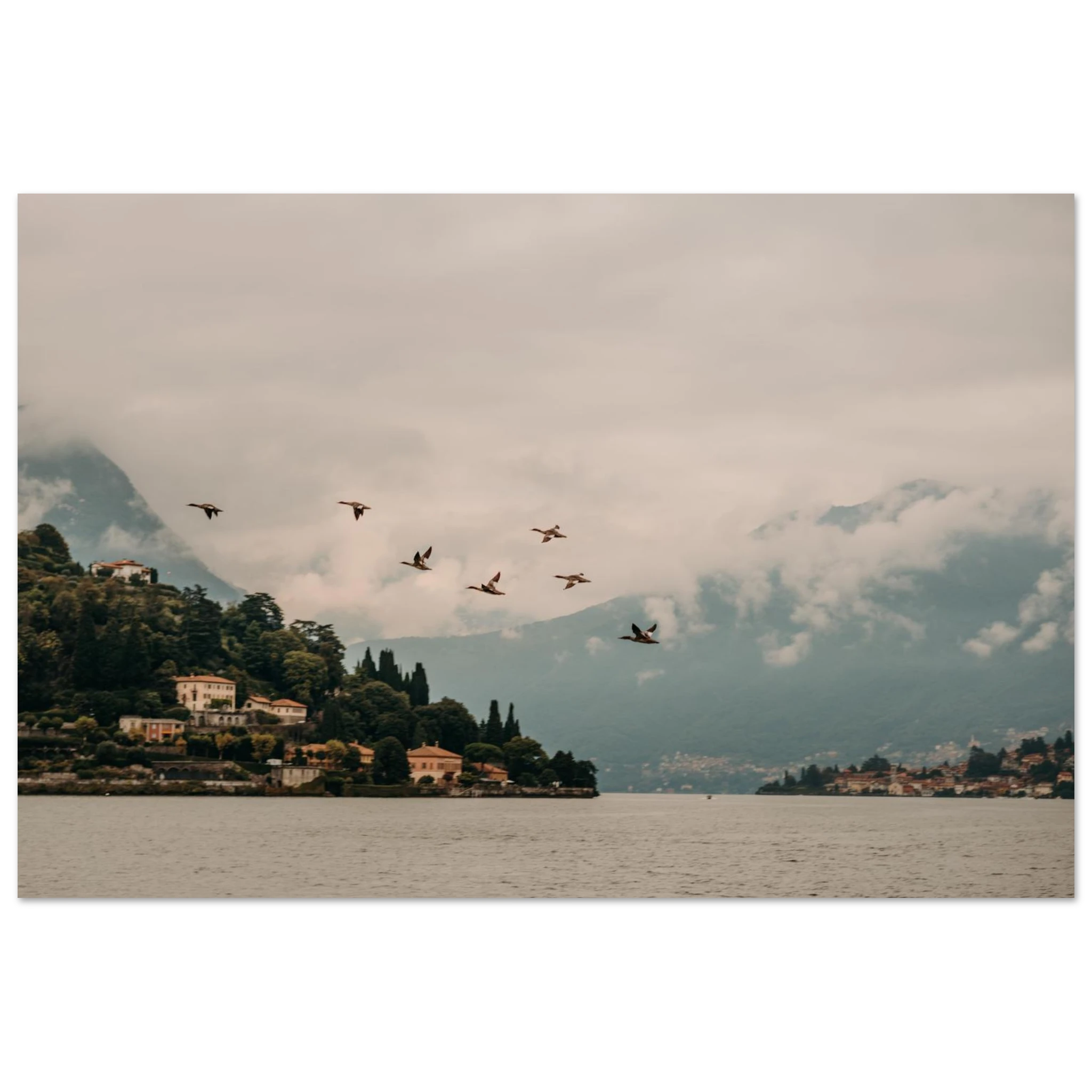 d074918f-e662-489e-b429-b42f937697f9